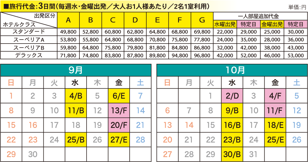 フリースタイルソウル3日間料金表